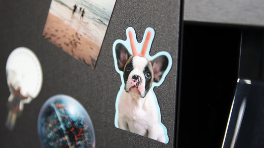 How to make die cut photo magnets