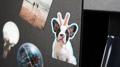 Die cut photo magnet with dog motif