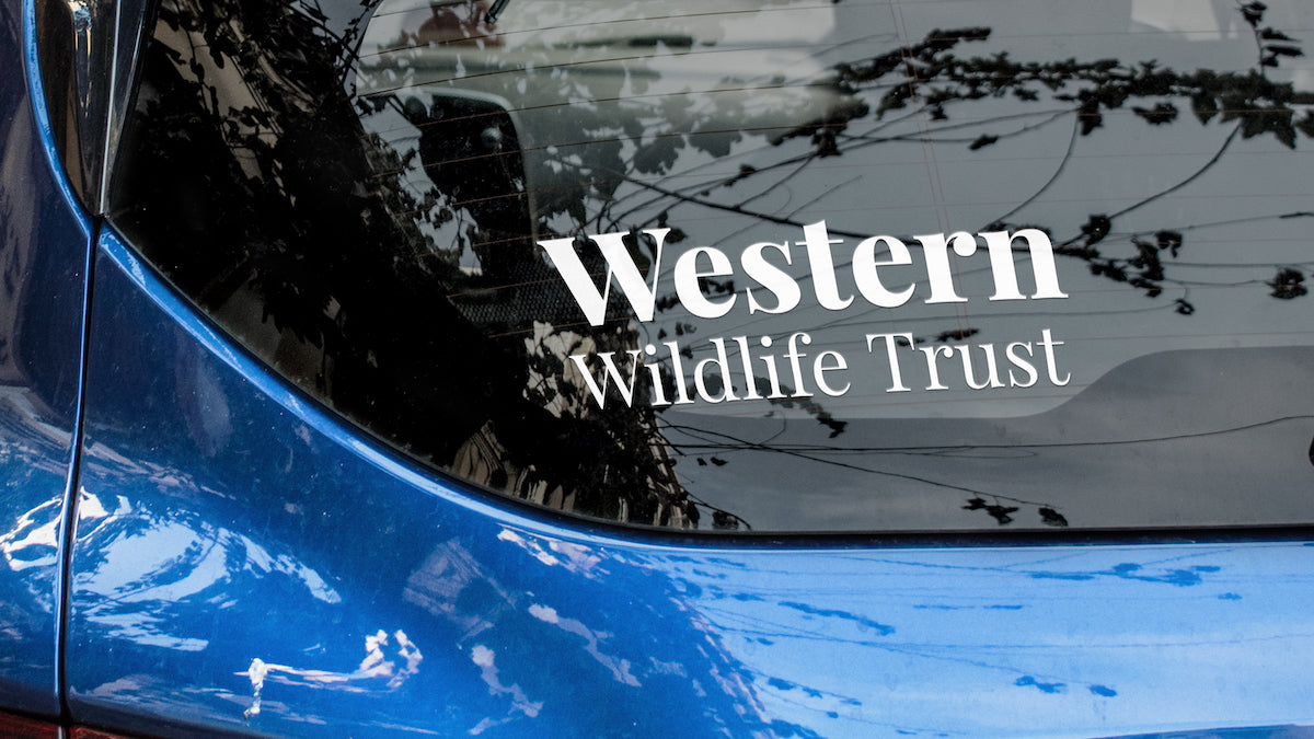 Western Wildlife Trust transfer car window sticker