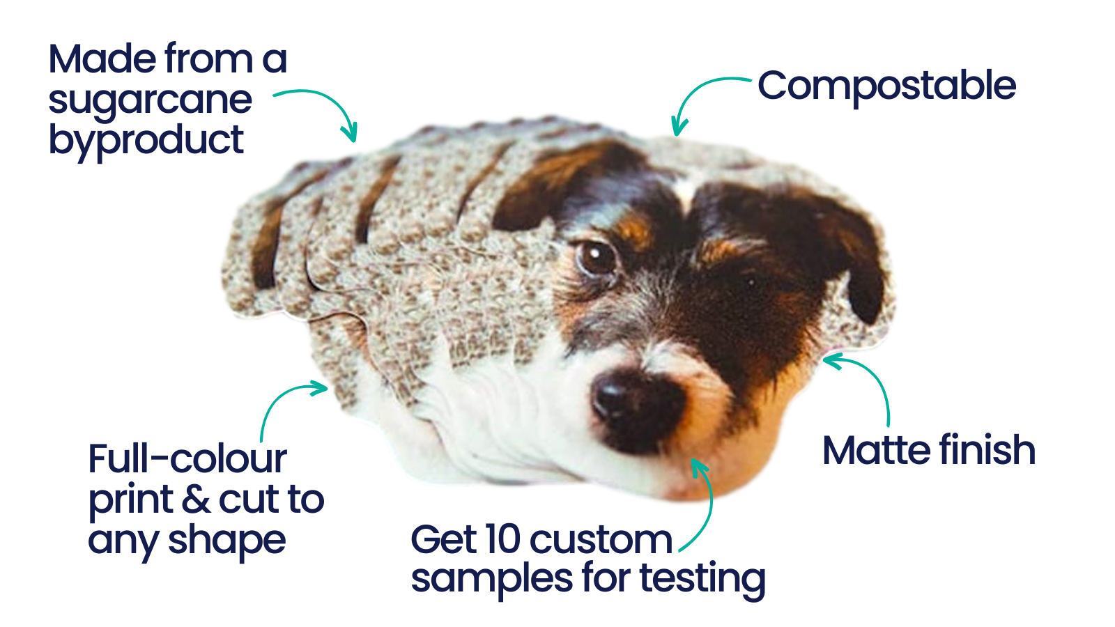 What are biodegradable paper samples