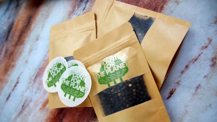 Eco-Friendly Clear Stickers - Free US Delivery